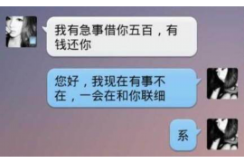 绵阳为什么选择专业追讨公司来处理您的债务纠纷？